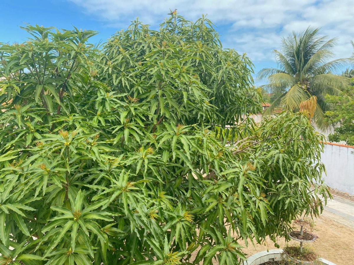 Sol, Mar E Privacidade Villa Aracaju Kültér fotó